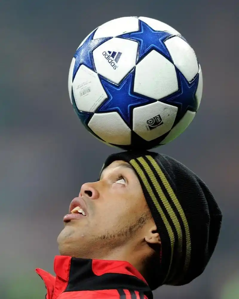 成鮮明對比 成鮮明對比