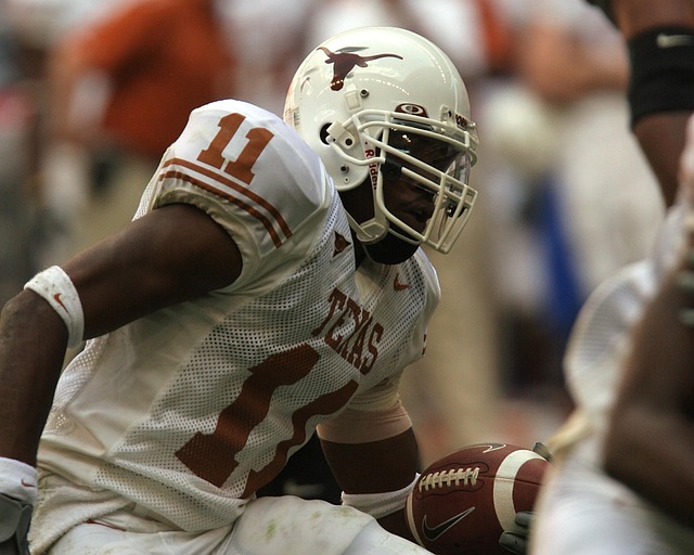 观赏价值而 观赏价值而