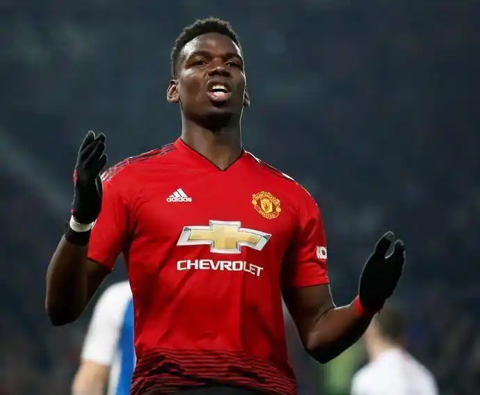 文化中的普 文化中的普